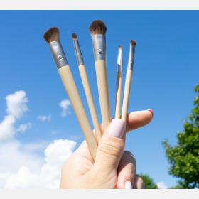 ecotools brushes